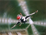 "Performance" - Don Feight - F-16 Falcon USAF Thunderbirds Aviation Art